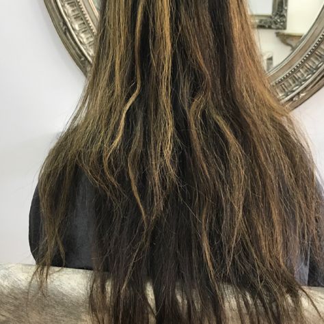 Dry hair is often a sign of unhealthy hair. Luckily, there are a few things you can do to get it healthy again. ...use deep conditioners, hair masks, and finishing serum Unhealthy Hair, Ugly Hair, Hair Dryer Accessories, Best Hair Dryer, Professional Hair Dryer, Hair Masks, Hair Dryers, Effortless Hairstyles, Hair Styler