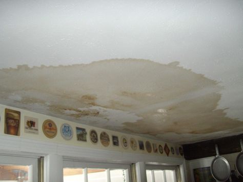 How to Repair Ceiling Stains & Water Damage on Flora Brothers Painting Mold On Bathroom Ceiling, Best Paint For Bathroom, Water Damaged Ceiling, Repair Ceilings, Water Damage Repair, Wood Plugs, Bathroom Ceiling, Bonita Springs, Bedroom Ceiling