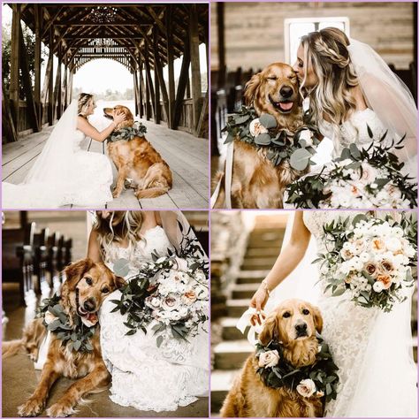 Dog Wedding Pictures, Photos With Dog, Wedding Picture Poses, Wedding Pets, Foto Tips, Future Wedding Plans, Cute Wedding Ideas, Dog Wedding, Wedding Goals