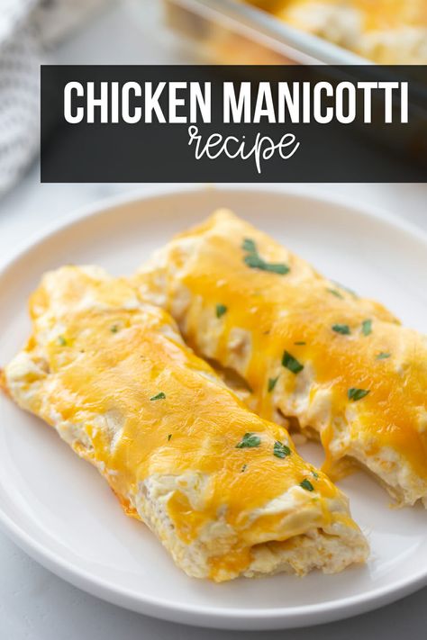 Manicotti Noodle Ideas, Creamy Chicken Manicotti, Chicken Stuffed Manicotti Recipe, Recipes Using Manicotti Noodles, Stuffed Noodles Manicotti, Manicotti Noodle Recipes, Chicken Alfredo Manicotti, Chicken Manicotti Recipe Alfredo Sauce, Manicotti Recipe Chicken