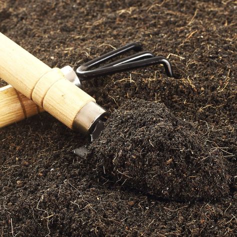 What To Know About Loam Soil for Your Garden Loam Soil, Growing Gardens, Soil Testing, Sandy Soil, Earthworms, Tree Seeds, Clay Soil, Top Soil, Soil Improvement