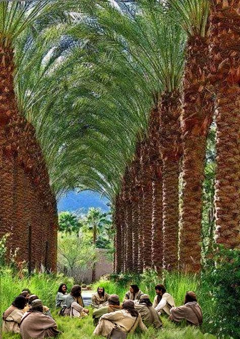 Desert Date, Tree Tunnel, Desert Bloom, Date Palm, Egypt Travel, Pose Style, The Holy Land, Holy Land, Photo Pose