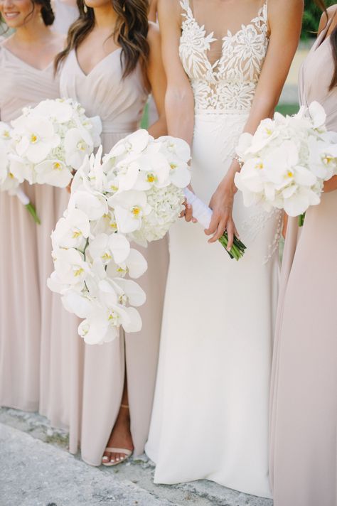 cascading white phalaenopsis orchid & hydrangea bouquet at Vizcaya Museum and Gardens in Miami #vizcayamiami @vizcayaweddings #bridalbouquet #orchidbouquet #cascadingbridalbouquet #phalaenopsisorchids #hydrangea #orchids Orchid Bridesmaid Bouquet, Bridesmaid Bouquet Simple, White Phalaenopsis Orchid, Orchid Bridal Bouquets, Vizcaya Museum And Gardens, Vizcaya Museum, Orchid Bouquet, Hydrangea Bouquet, Orchid Wedding