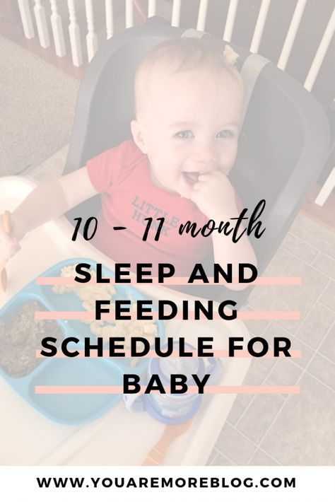 10 Month Old Schedule Feeding, 11 Month Feeding Schedule, Feeding Schedule For 10 Month Old, 10 Month Sleep Schedule, 11 Month Old Eating Schedule, 10 Month Old Nap Schedule, 10 Month Old Eating Schedule, 10 Month Old Baby Schedule, 11 Month Old Feeding Schedule