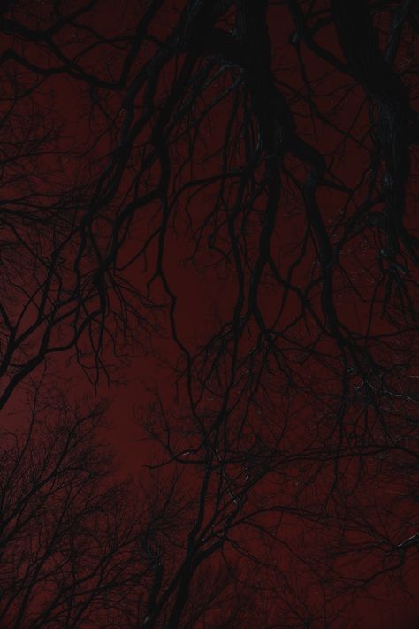 Gothic Background, Spooky Background, Blood Wallpaper, Red Goth, Red And Black Wallpaper, Red Gothic, Dark Red Wallpaper, Goth Wallpaper, Gothic Wallpaper