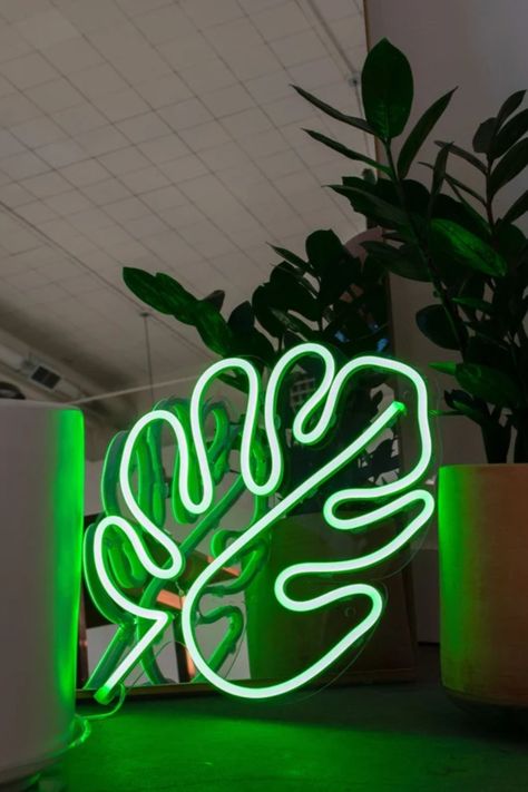 A beautiful neon sign wall decor put on the floor Green Leaf Wall With Neon Sign, Neon Light Plant Wall, Neon Green Sign, Leaf Neon Sign, Neon Green Sign Aesthetic, College Wall Decor, Trendy Plants, Green Wall Decor, College Dorm Decorations