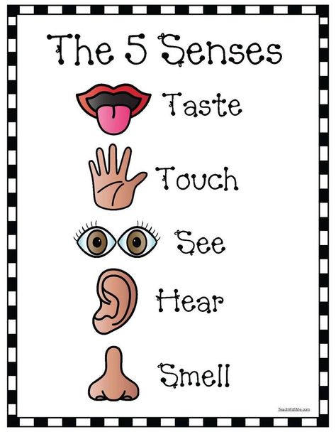 5 Senses Anchor Chart, Senses Anchor Chart, 5 Senses Craft, 5 Senses Preschool, 5 Senses Worksheet, Five Senses Worksheet, Five Senses Preschool, 5 Senses Activities, Senses Preschool