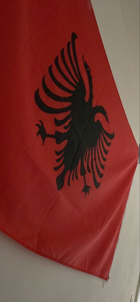 Albanian Wallpaper Iphone, Albanian Flag Wallpaper, Albania Flag Wallpaper, Albanian Wallpaper, Albania Wallpaper, Iphone Wallpaper Inspirational, Albanian Flag, Albania Flag, Albanian Culture