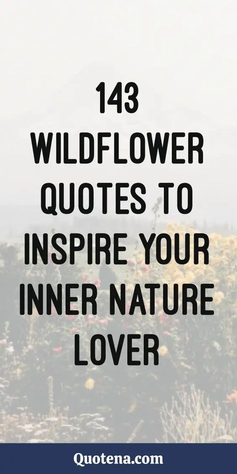 Embrace your love for wildflowers with 143 quotes that celebrate the beauty and resilience of these blooms. Click on the link to read more. Wildflower Quotes Inspiration, Wild Flower Quotes Short, Wild Flowers Quotes, Wildflower Sayings, Bloom Quotes Life, Wildflower Quotes Short, Quotes About Wildflowers, Wildflowers Quote, Wildflower Quotes