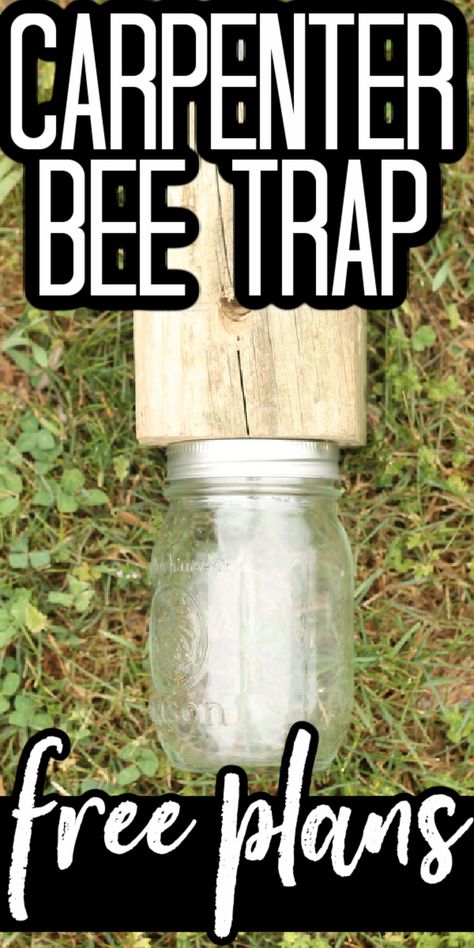 Learn how to make your own carpenter bee trap from a scrap 4x4 and a mason jar. We have your wood bee trap plans to start making your own versions today! #outdoors #bees #carpenterbees #trap #farm #diy #diyproject Wood Bee Trap, Bee Catcher, Bee Trap, Carpenter Bee Trap, Wasp Traps, Bee Traps, Diy Bee, Wood Bees, Farm Diy