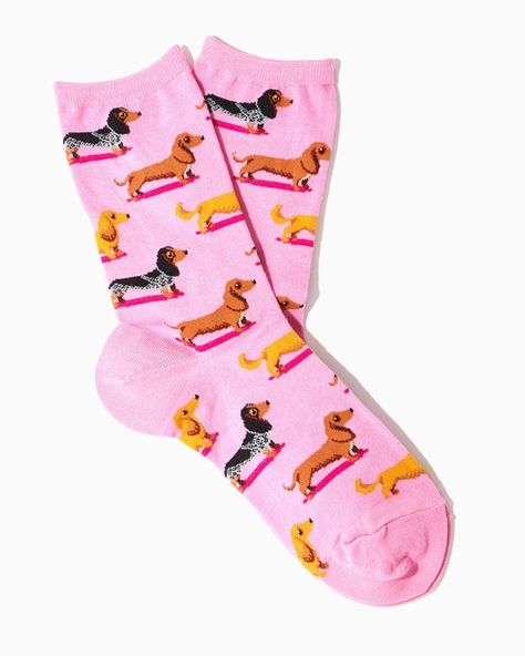 Hotsox Dachshunds Socks Katie Anderson, Dachshund Cartoon, Dachshund Illustration, Dachshund Design, Socks Cute, Sock Drawer, Dog Socks, Weenie Dogs, Pink Socks