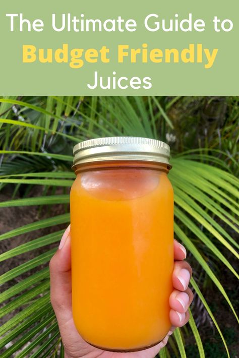 Cheap Juice Recipes, Easy Juice Recipes For Beginners, Easy Juicing Recipes, Bulk Juicing Recipes, Batch Juicing Recipes, Budget Juicing Recipes, Juicing Essentials, Easy Juicing Recipes For Beginners, Juicing Business From Home