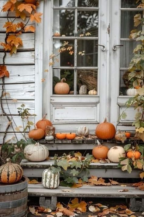 Autumn Esthetics, Fall Wallpaper Cute, Fall Everything, Country Autumn, Outdoor Fall Decor Ideas, Outdoor Fall Decor, Everything Fall, Orange Blanket, Autumn Blessings