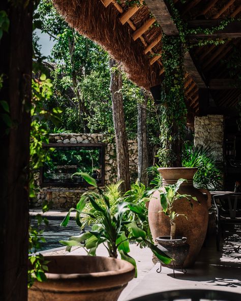 Where to Stay in Tulum: Hotel Bardo Plunge Pools, Tulum Hotels, Tulum Beach, Hotel Staff, Beach Bungalows, Mayan Ruins, Plunge Pool, Quintana Roo, Travel Lifestyle