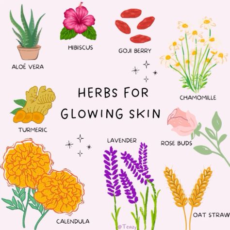 These herbs have been used for ages to glow from the inside out, a must try! 
#herbalism #plants #flowers #flowerpower #selfcare #glowing #skincare #skinhealh Oat Straw, Glowing Skincare, Lavender Roses, For Glowing Skin, Goji Berries, Plants Flowers, Rose Buds, Glowing Skin, Hibiscus