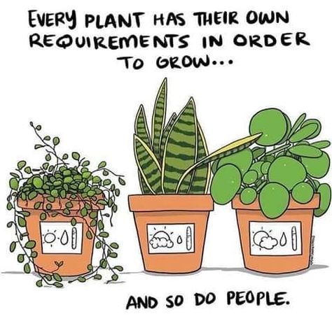 *sings* You can grow your own way...... grow your own wayyyy. | r/wholesomememes | Wholesome Memes | Know Your Meme Good Vibes Quotes Positivity, Motivation Pictures, Plants Quotes, Just Be You, Plant Mom, All About Plants, Emotional Health, Plant Life, Plant Lover