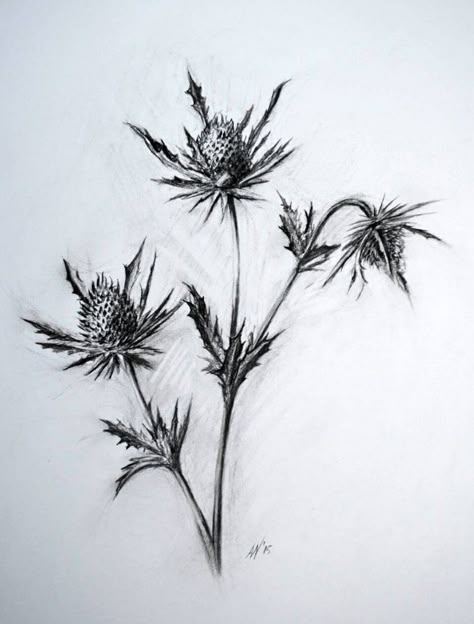 Black Thistle Tattoo, Thistles Tattoo, Thistle Tattoo Design, Blue Thistle Tattoo, Thistle Outline Tattoo, Thistle Aesthetic, Scottish Thistle Tattoo Black, Thistle Drawing, Blue Thistle Drawing