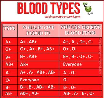 Medictests.com - EMT and Paramedic Practice Tests Online! National Registry Test Prep! Check out our entire library of study resources and NREMT tests!: Blood Type Chart, Blood Types, Type Chart, Nursing School Survival, Nursing School Studying, Medical Facts, Nursing School Tips, Medical School Studying, Nursing School Notes