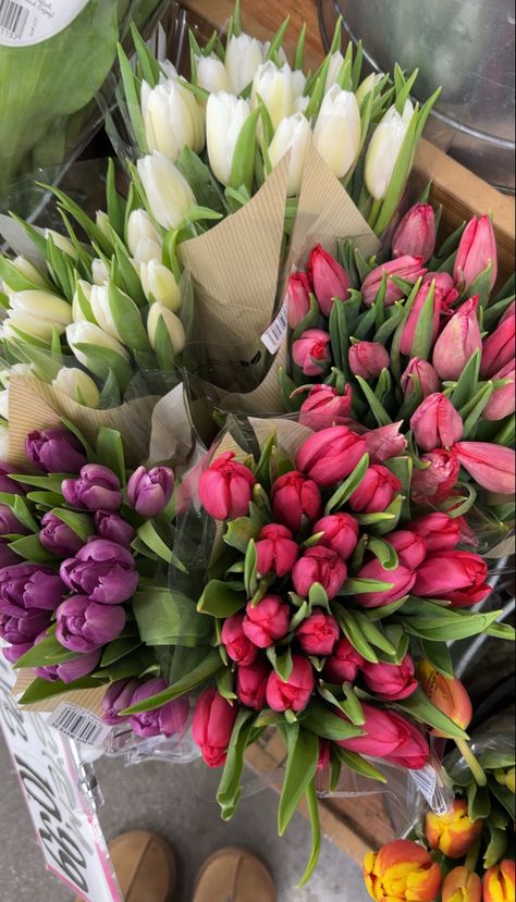 Boquette Flowers, Nothing But Flowers, Flower Therapy, Beautiful Bouquet Of Flowers, Spring Aesthetic, Tulips Flowers, Aesthetic Summer, Beautiful Bouquet, Love Flowers