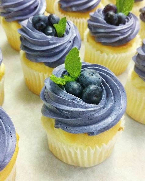 Homemade Lemon Cupcakes With Blueberry Buttercream Blueberry Party, Blueberry Buttercream, Lemon Blueberry Cupcakes, Lemon Cupcake, Baby Boy Sprinkle, Berry 1st Birthday, Blueberry Cupcakes, Cupcakes For Boys, Blue Cupcakes