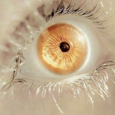 Google Lens, Explore The World, What You See, Human, The World, Yellow