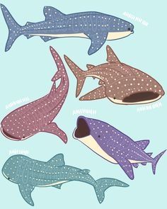 Whale shark Shark Drawing Easy, Whale Shark Drawing, Shark Whale, Shark Painting, Shark Illustration, Whale Drawing, Ocean Illustration, Shark Drawing, Cute Whale