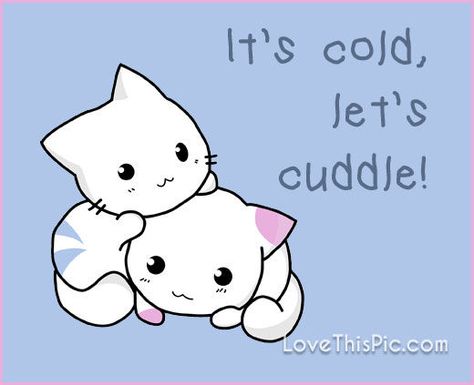 Let's cuddle quotes quote winter snow Cuddles Please, Cuddle Weather Quotes, Winter Cuddles, I Need Cuddles, Cuddle Pictures, Cuddle Quotes, Cuddle Weather, Girls Cuddling, Weather Quotes