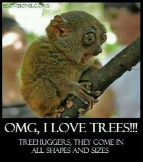 Funny tree hugger Hunger Games Characters, Animal Humour, 9gag Funny, Funny Animal Quotes, Funniest Memes, 웃긴 사진, Memes Humor, Fun Quotes, Funny Animal Memes