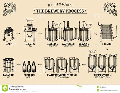 Vector Beer Infographics With Illustrations Of Brewery Process. Ale Producing Design. Lager Production Sketched Scheme. Stock Vector - Illustration of fermentation, drink: 89901346 Beer Infographic, Beer Brewing Process, Beer Images, Small Brewery, Beer Illustration, Beer Brewing Equipment, Home Brewing Equipment, Brewing Recipes, Beer Brewery