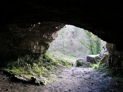 Cathole Cave, Parc le Breos Cave Of Lascaux Paintings, Chislehurst Caves, Chauvet Cave Paintings, Stalactite Cave, Cave Stalagmite, Gower Peninsula, Swansea