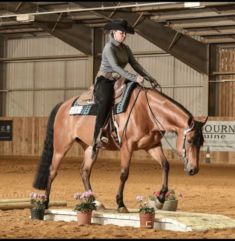 Western Style Horseback Riding, Horse Show Aesthetic Western, Western Trail Riding, Western Horse Tack Trail Riding, Showmanship Outfit, Western Pleasure Outfit, Ranch Horses Working, Riding Ideas, Horse Back Riding Aesthetic Western