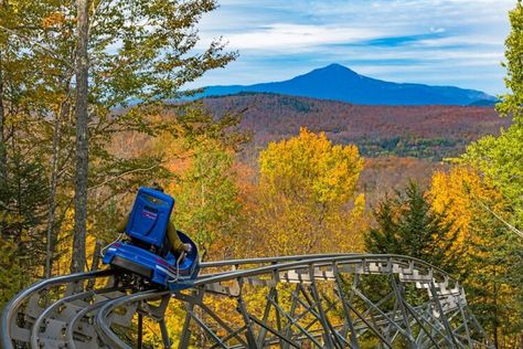 Lake Placid Olympics, Mountain Coaster, Lake Placid New York, New York Vacation, Mountain Vacations, Sports Complex, Olympic Sports, Lake Placid, Beautiful Places To Travel