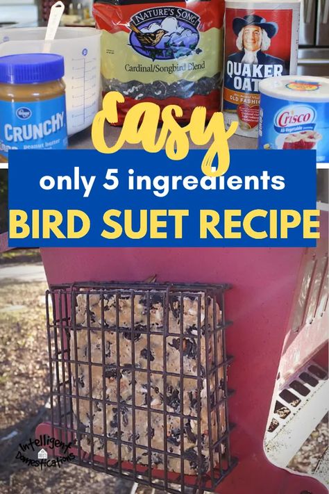 Easy 5 ingredient Homemade Bird Suet Recipe with crunchy peanut butter the birds love. This recipe freezes well. Teach the children to make bird suet cakes. A good activity to do with the children when teaching them to care for all God's creatures. #birding #birdsuet Homemade Bird Suet, Suet Recipe, Backyard Birds Sanctuary, Backyard Birds Feeders, Bird Suet, Suet Cakes, Feed The Birds, Bird Seed Ornaments, Feeding Birds