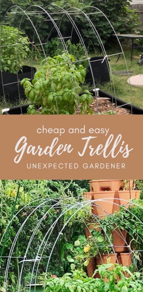 Veggie Trellis, Cheap Garden Trellis, Cheap Garden, Trellis Fence, Plot Of Land, Old Fences, Be Smart, My Space, Garden Trellis