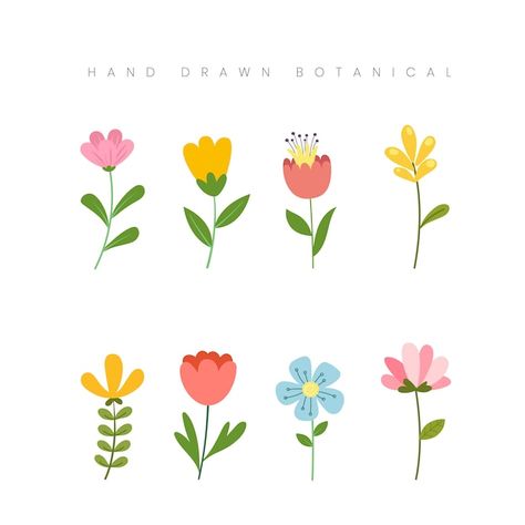 Hand drawn spring botanical concept flow... | Premium Vector #Freepik #vector #poppy #flower-collection #daisy #flower-illustration Spring Pattern Illustration, Botany Illustration, Spring Illustration, Floral Wedding Invitation Card, Wreath Drawing, Floral Doodle, Flower Outline, Floral Illustration, Vector Flowers