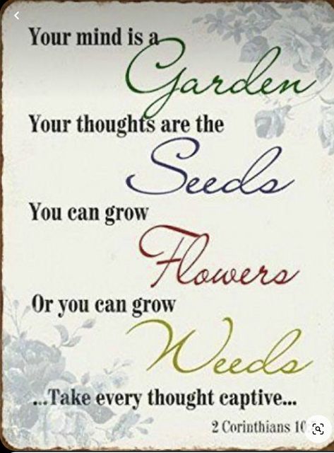 Your Mind Is A Garden Your Thoughts, Your Mind Is A Garden Quote, I Can Only Imagine Art, You Are Not Your Thoughts, Your Mind Is A Garden, Mind Is A Garden, Take Every Thought Captive, Spiritual Garden, Prayer Garden