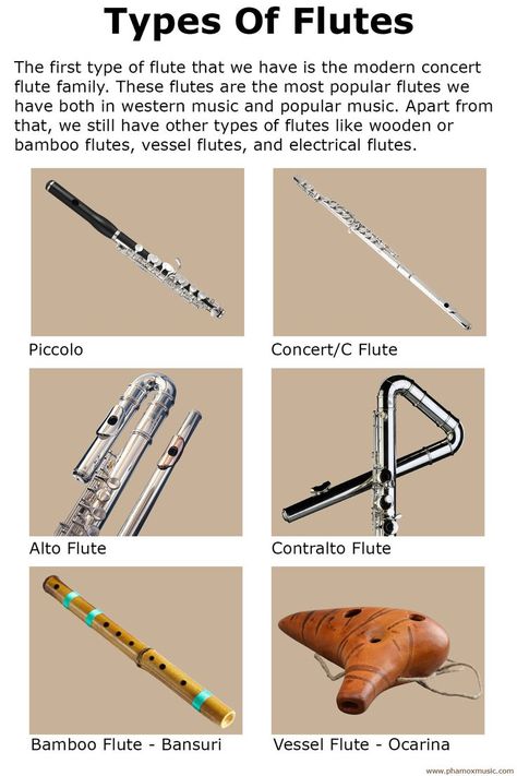 Types of flutes Different From Others, Flutes, Different Types, Bobby Pins, Hair Accessories, Key, Range, Concert, Music