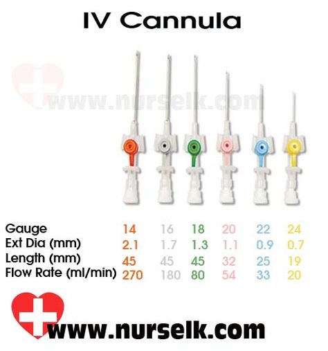 Cannula Gauge Sizes and Color Code | Nurselk.com Iv Cannula, Eye Health Facts, Med School Study, Gauge Sizes, Pediatric Surgery, Nclex Study, Medical School Life, Nurse Study Notes, Basic Anatomy And Physiology