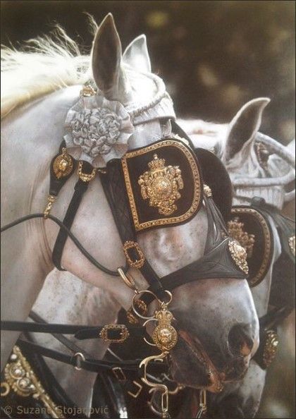 Era Victoria, Royalty Core, Royal Core, Royalty Aesthetic, Royal Aesthetic, Fotografi Vintage, Pretty Princess, Bridles, Clydesdale