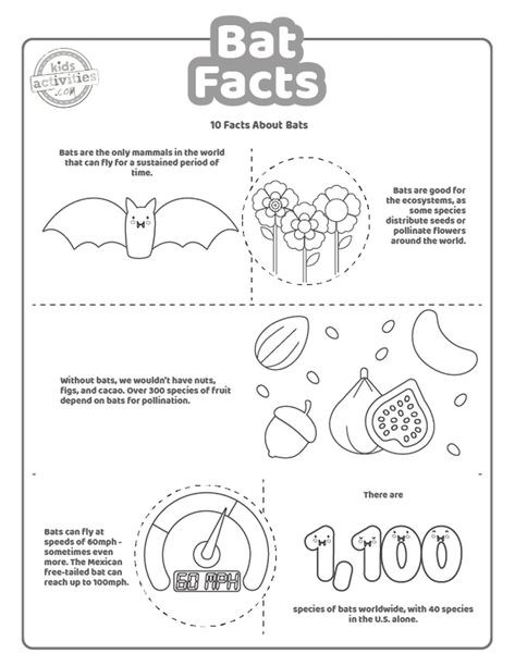 Fun Bat Facts For Kids To Print and Learn Bats Facts, Bat Facts For Kids, Types Of Bats, Facts About Bats, Bat Facts, Learning Printables, Facts For Kids, Facts About, Mammals