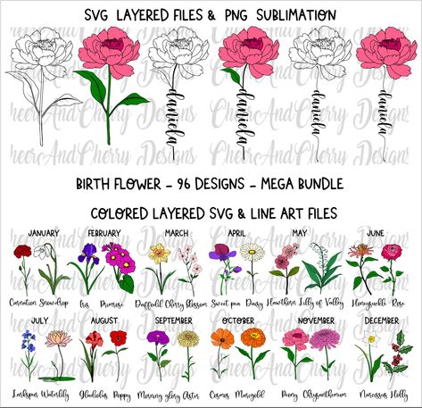 Birth Flower Svg, Cricut Scrapbook, Birthday Month Flowers, Birthday Flower, Tassen Design, Shirt Diy, Layered Svg, Birthday Svg, Month Flowers