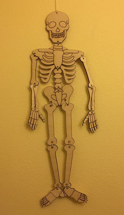 Make A Skeleton Projects, How To Make Skeleton, 3d Skeleton Project, How To Make A Skeleton, Skeleton Model Project, Skeleton Project For School, Cardboard Skeleton, Skeletal System Project, Skeleton Project