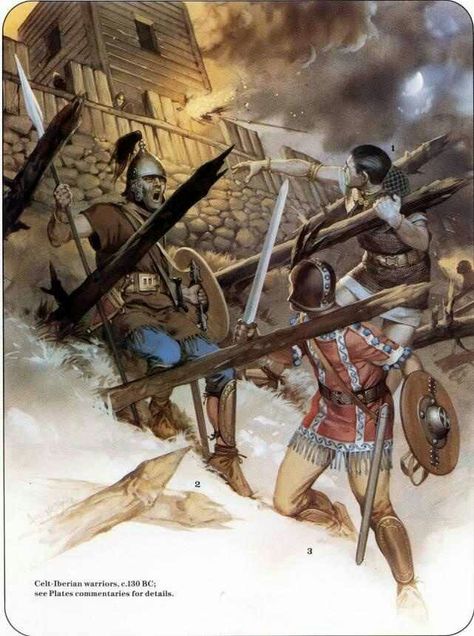 Celtiberian warriors Warriors Illustration, Historical Warriors, Celtic Warriors, Ancient Celts, Ancient Warfare, Classical Antiquity, Roman Soldiers, Roman History, Carthage