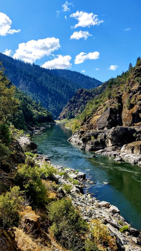 Rogue River Lakes And Rivers, Rogue River Oregon, River Scenery, River Flow, River Stream, River View, Mountain River, Forest River, Places Around The World