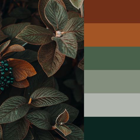 Green Copper Palette, Orange Black Green Palette, Dark Green Rust Color Palette, Jade And Rust Color Palette, Dark Botanical Color Palette, Interior Colour Pallet, Fall Forest Color Palette, Emerald Green And Rust Color Palette, Black Green Orange Color Palette