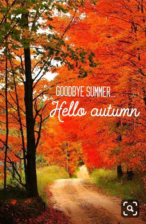 Goodbye Summer Hello Autumn, Fall Video, First Day Of Autumn, Happy Autumn, Hello Goodbye, Fall October, Goodbye Summer, Welcome Fall, Hello Fall