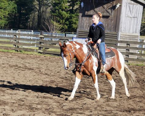 Are you challenged with a small riding arena? Small riding arenas may seem restrictive, but there’s actually a lot that you can do with them. Give these tips a try. Ride Into Your Corners Riding your horse well up into the arena … Small Riding Arena, Training Horses, Riding Arena, Horse Arena, Friend Pics, Riding Arenas, Riding Lessons, The Big Four, The Arena