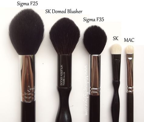 Sonia Kashuk Brushes, Brush Guide, Blusher Brush, Sonia Kashuk, Eyeshadow Brush, Powder Blush, Beauty Tool, Eyeshadow Brushes, Setting Powder