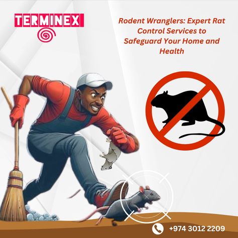 Don't let rats throw a party in your attic! Our Terminex rat control experts are on a mission to evict them from hospitals to homes. We'll show those rodents who's boss! 🐀💪 
Contact us now to schedule your pest control and deep cleaning service:

📞 +974-30122209
📧 info@terminexqatar.com Pest Control Shirt, Pest Control Advertising, Rat Control, Pest Control Company, Deep Cleaning Services, Termite Control, Throw A Party, Pest Control, Cleaning Service