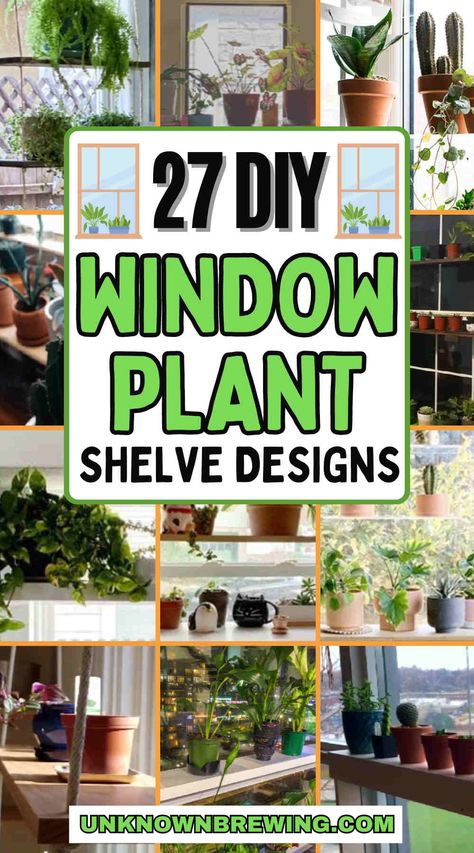 Below Window Plant Shelf, Window Flower Shelves, Shelves On Windows For Plants, Large Window Plant Shelf, Bay Window For Plants, Hanging Plant Shelf In Front Of Window, Bathroom Window Plant Shelf, Window Plant Display Indoor, Sliding Glass Door Plant Shelf